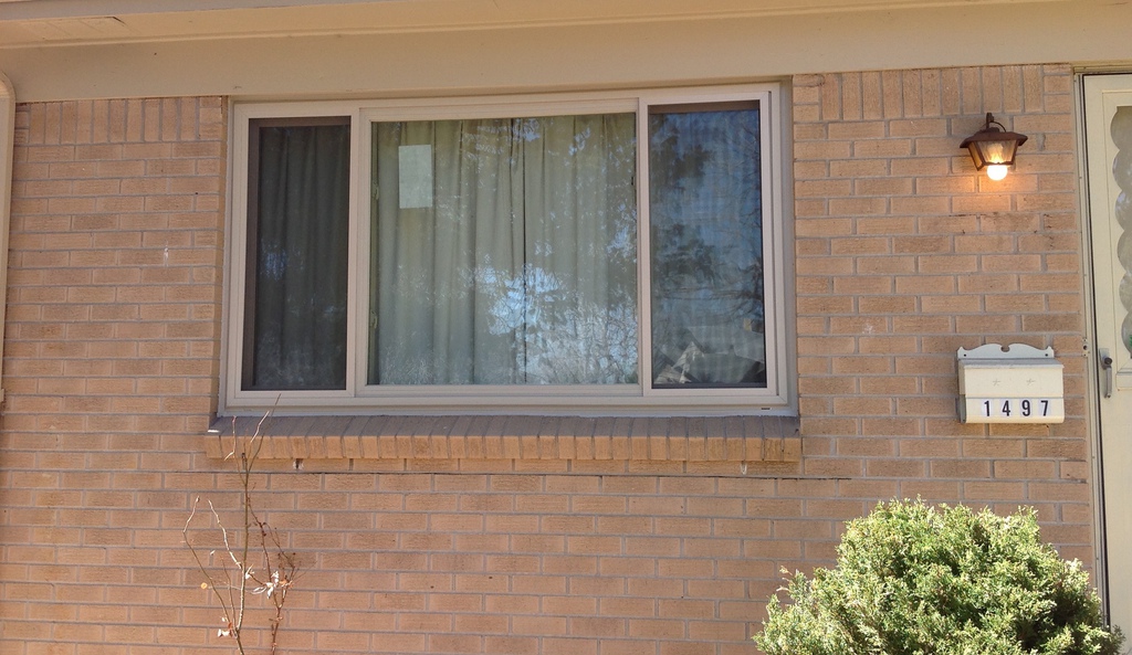 Professional window work