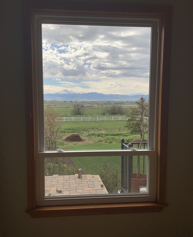 Cleaner interior view